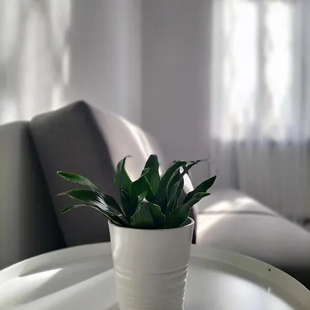 Apartment Casa Mina